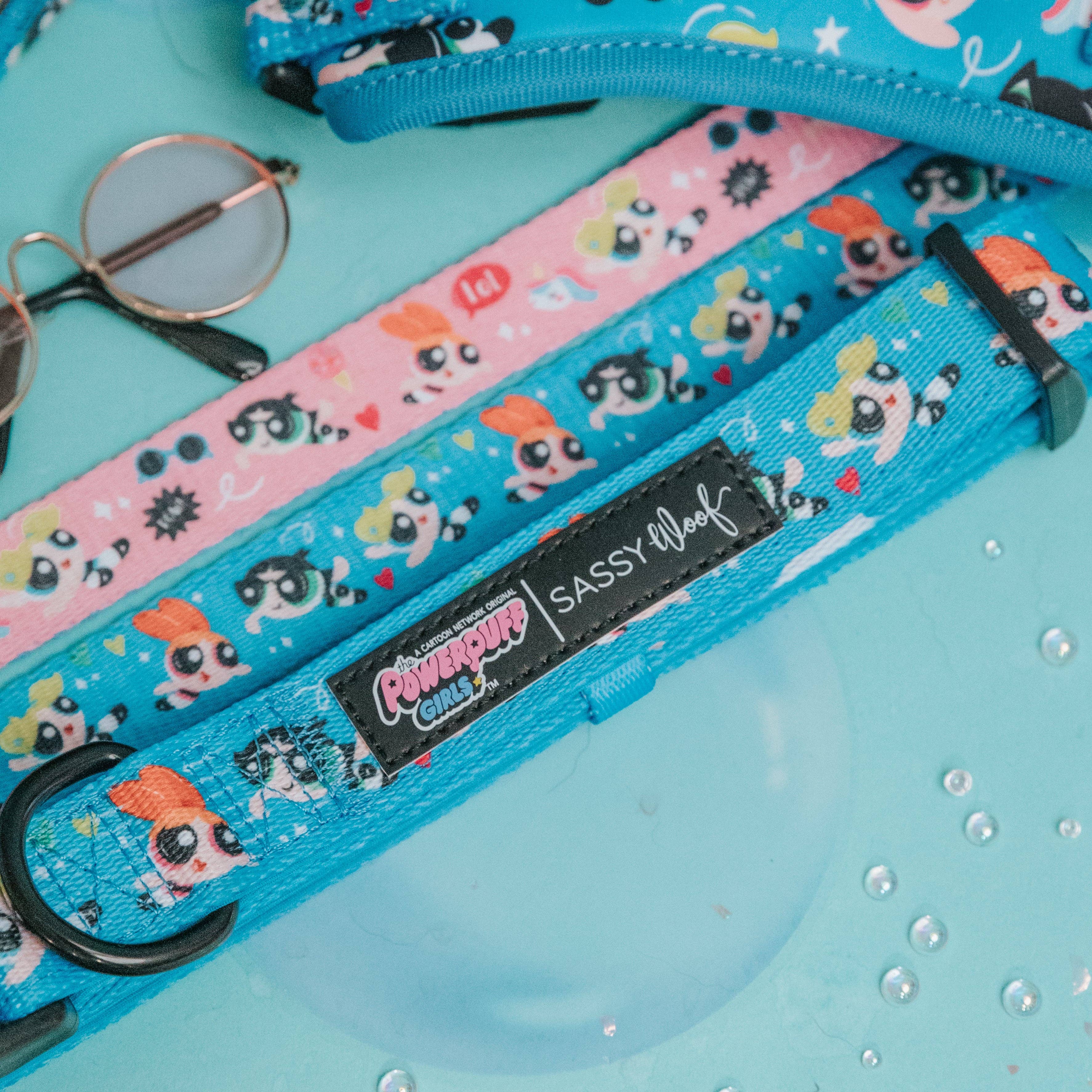 SASSY WOOF - Dog Collar - The Powerpuff Girls™ (Blue): XSmall